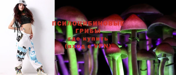 амф Осинники