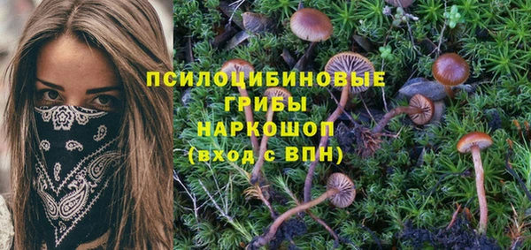 таблы Няндома