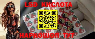 PSILOCYBIN Бугуруслан