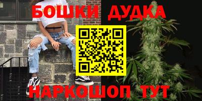 PSILOCYBIN Бугуруслан