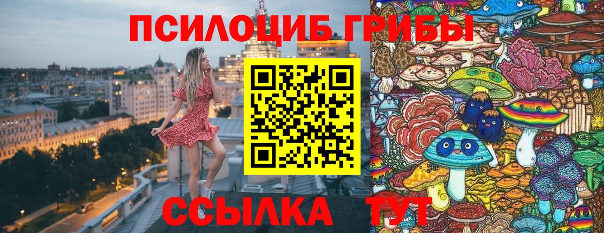 Котельники  Галлюциногенные грибы мицелий  Вход с VPN 