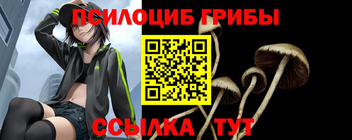 Псилоцибиновые грибы мухоморы  Котельники 