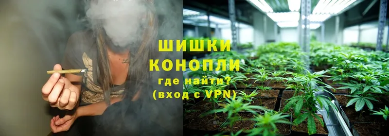 сайты даркнета как зайти  купить закладку  Котельники  Конопля SATIVA & INDICA 