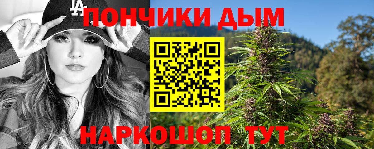 Шишки марихуана марихуана  Шишки марихуана тримм  Вход с VPN  Котельники 